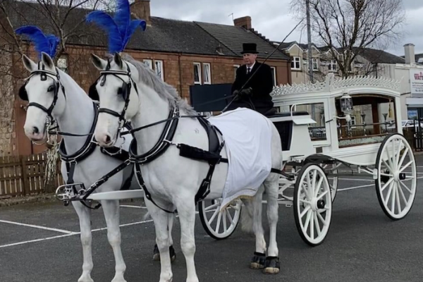 Andrew Anderson and Sons Funeral Directors-white horses